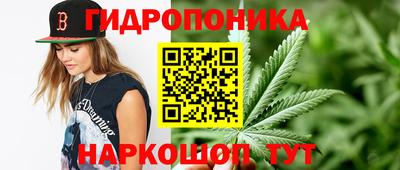 каннабис Будённовск