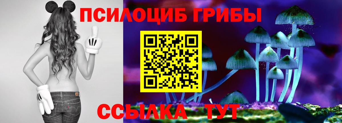 Галлюциногенные грибы Psilocybe Саки